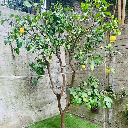 Lemon Tree Resort - Freeparking - Garden Genova Kültér fotó